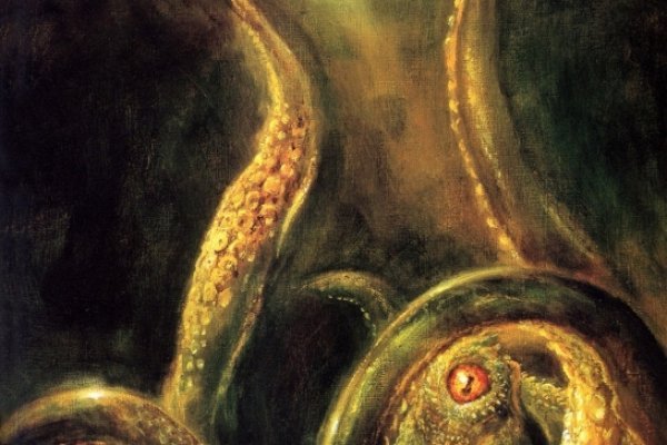 Кракен даркнет store kraken dark link