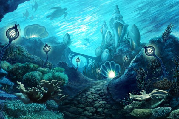 Kraken 12 at