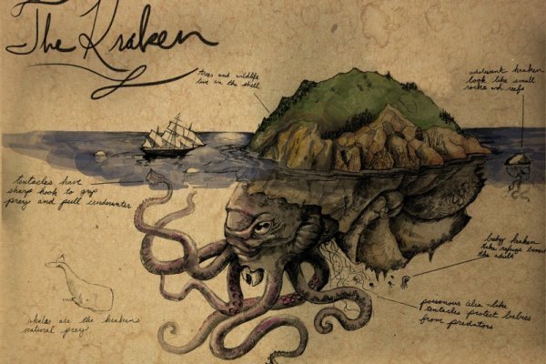 Kraken 25 at