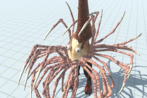 Kraken даркнет что это